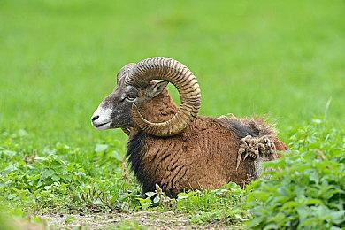 ATLUS全新RPG游戏《灵魂骇客2》今日发售！